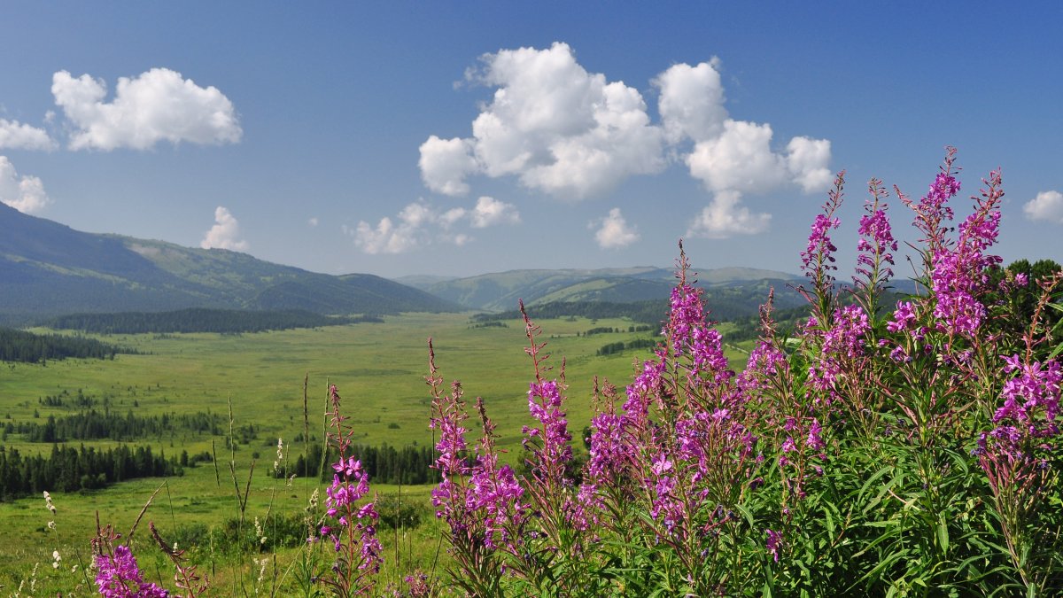 День Забайкалья
