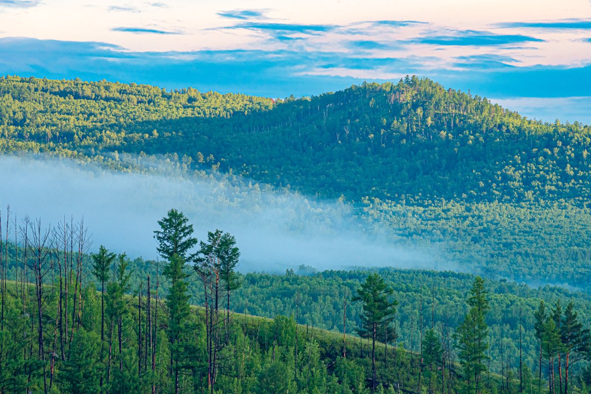 Родное Забайкалье