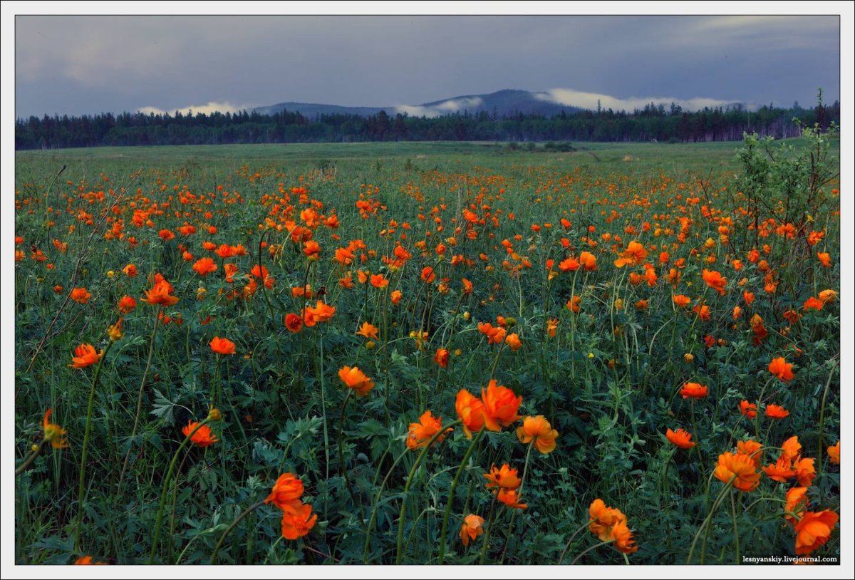 Чита столица Забайкалья