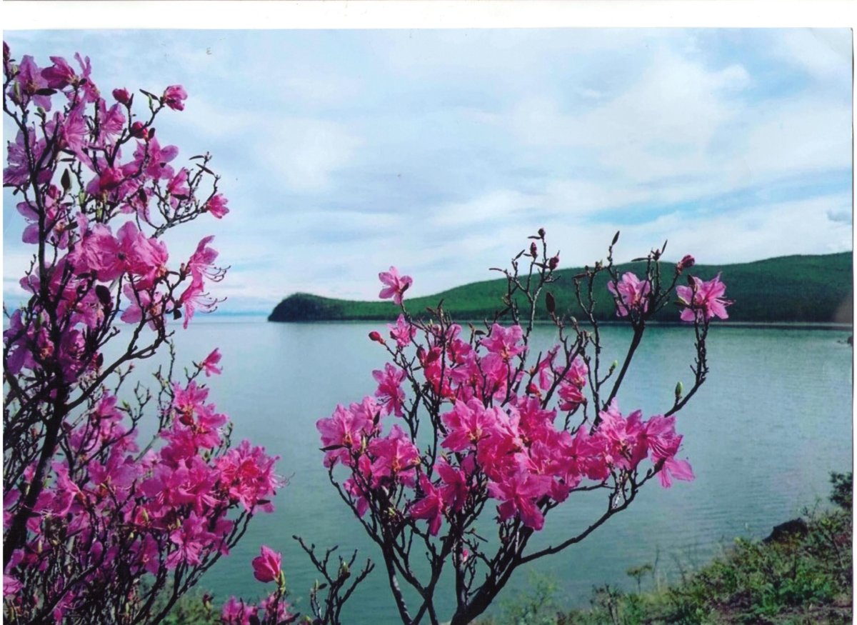 Буряты Забайкалья Гураны