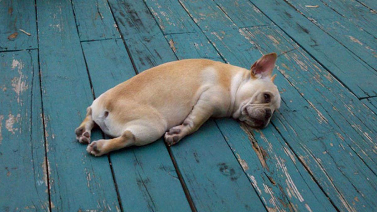 Комиксы про туризм