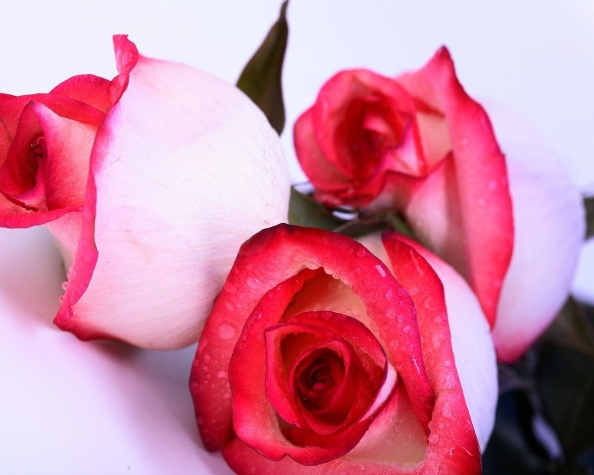 Валентинка любимому