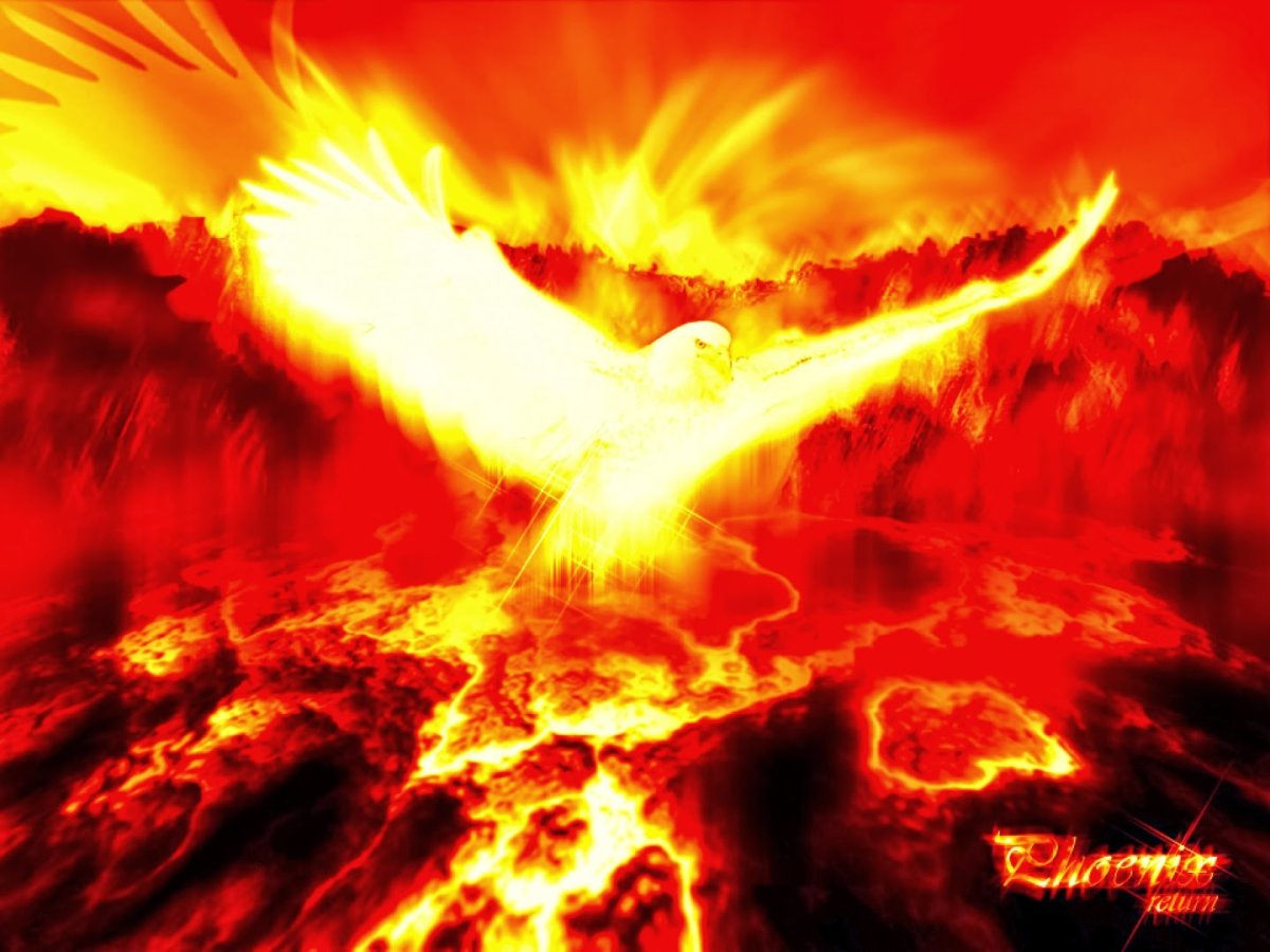 Огненная птица в небе