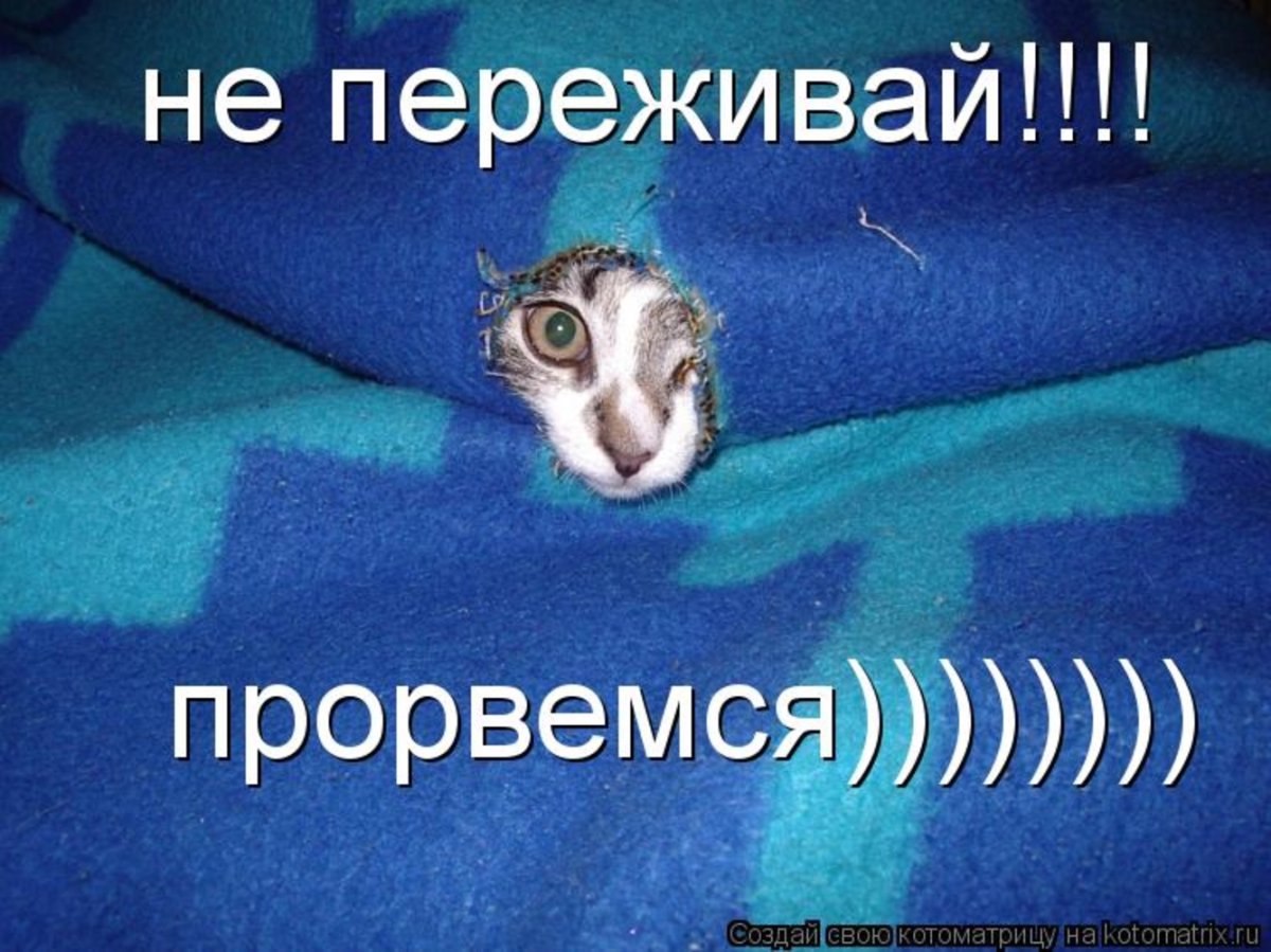 Не надо расстраиваться