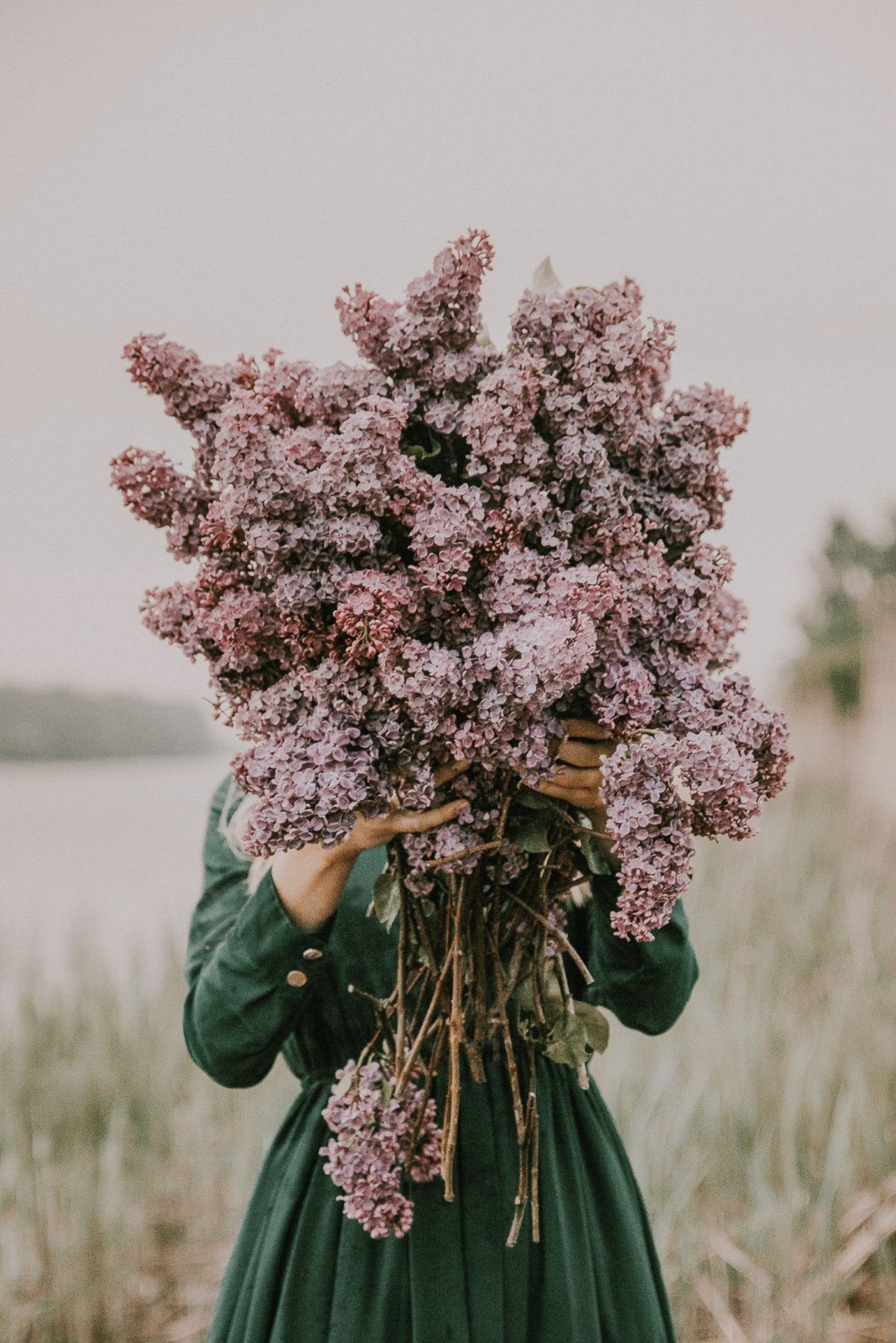 Букет сирени