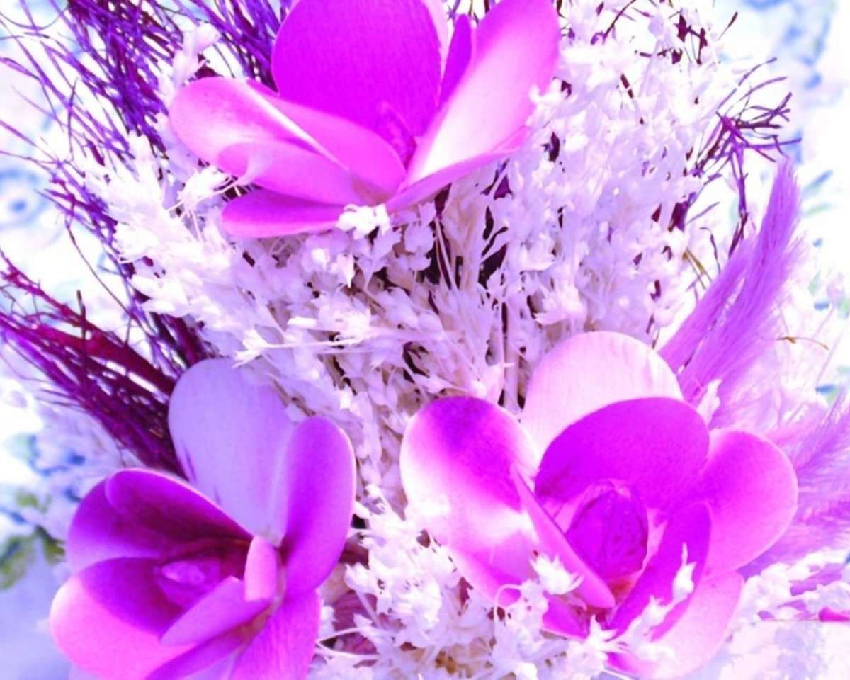 Аватарки для ватсапа цветы