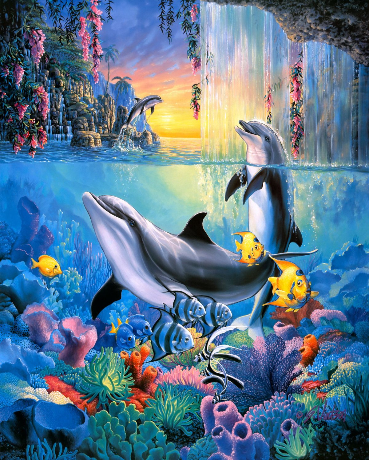 Адриан Честерман дельфины