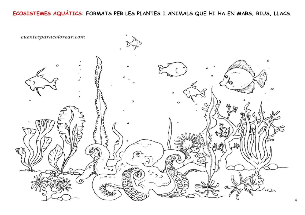 Морское дно раскраска