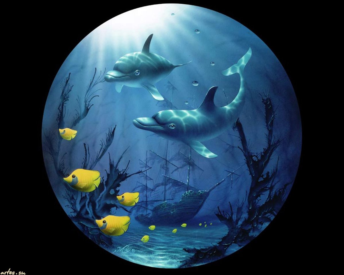 Дэвид Миллер картины рыбы