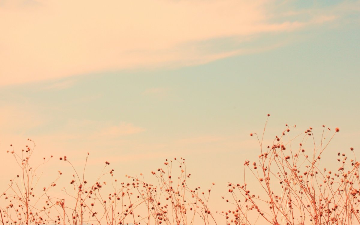 Фон для твиттера