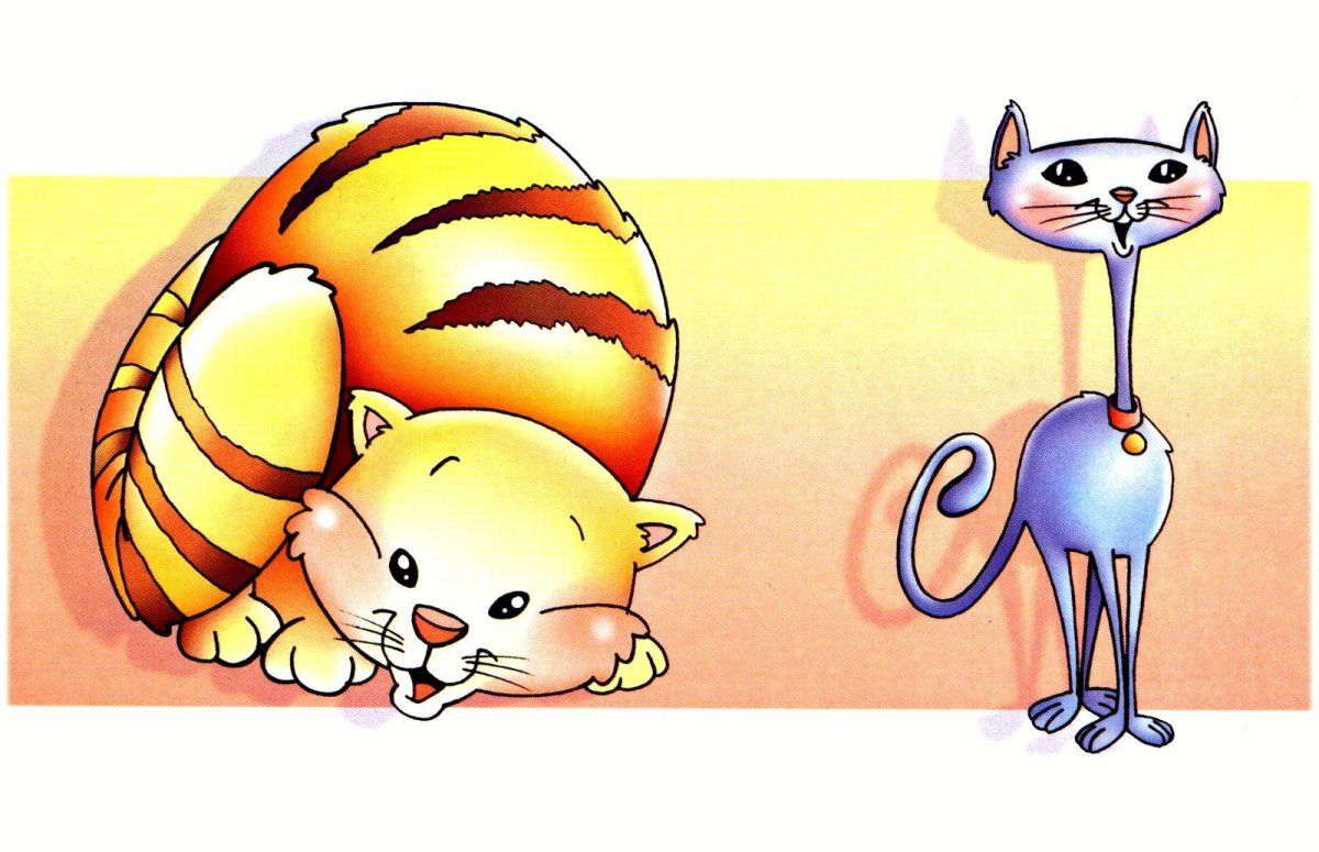 Признаки предметов для дошкольников