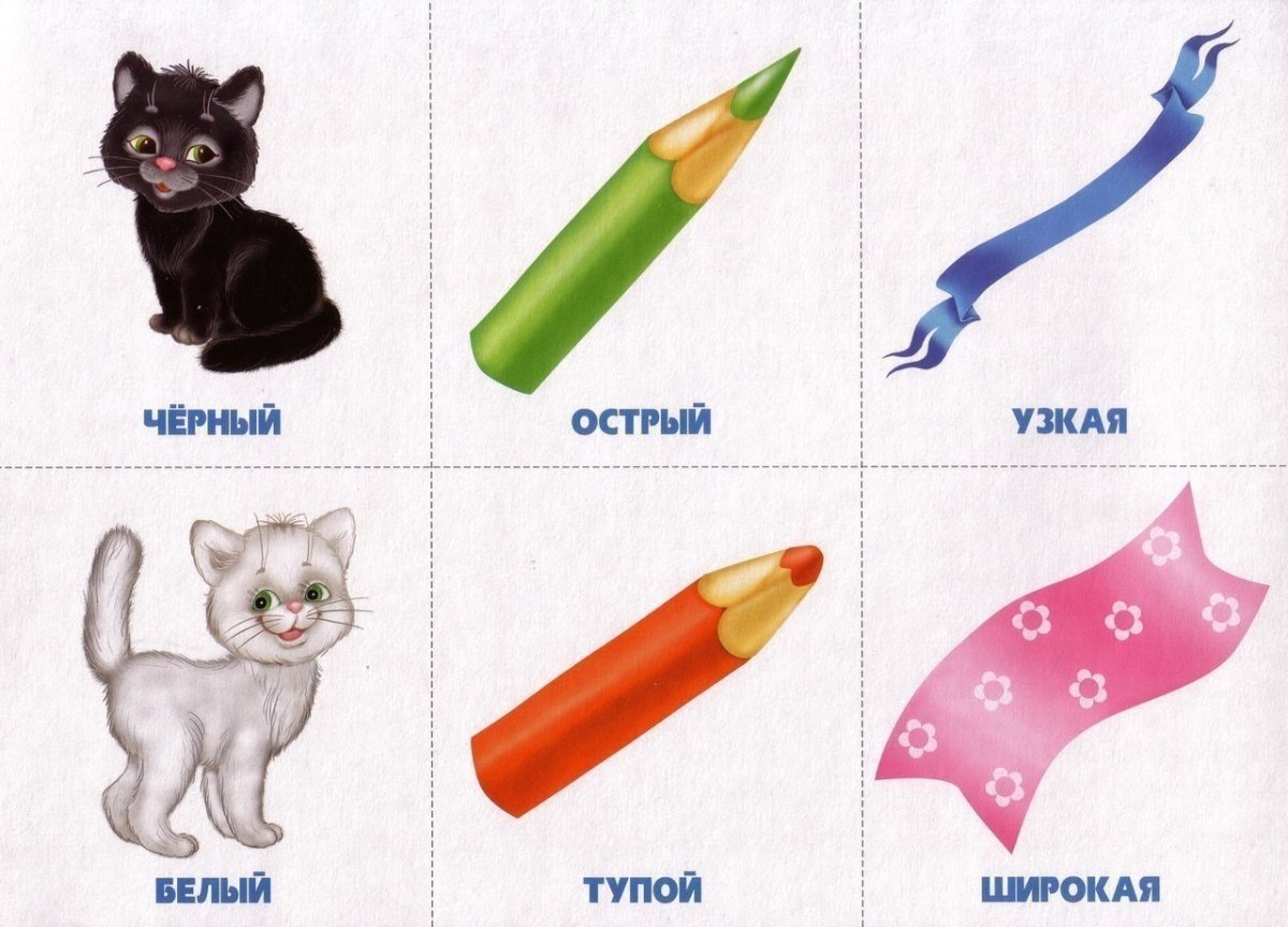 Антонимы для дошкольников