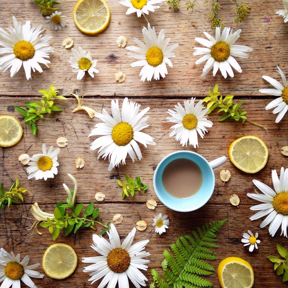 Утро кофе ромашки