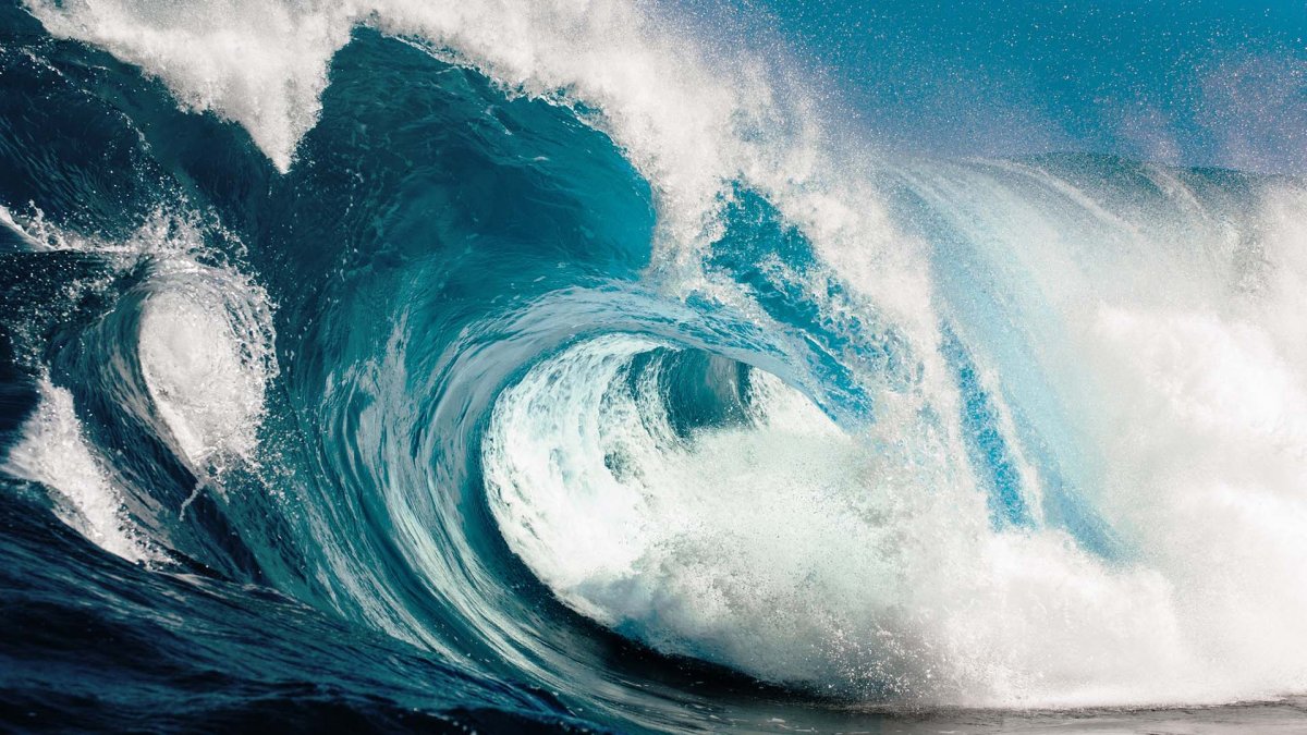 Тайфун Талим