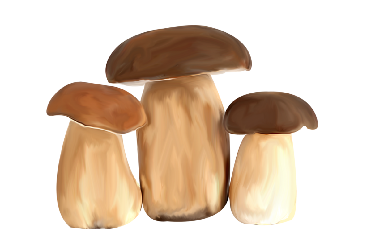 Стикеры грибы