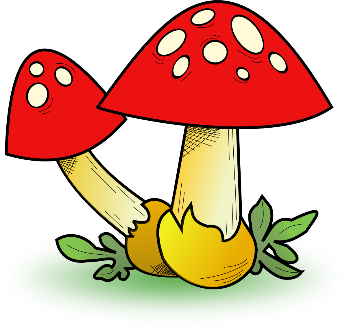 Грибы для детей мухомор белый гриб