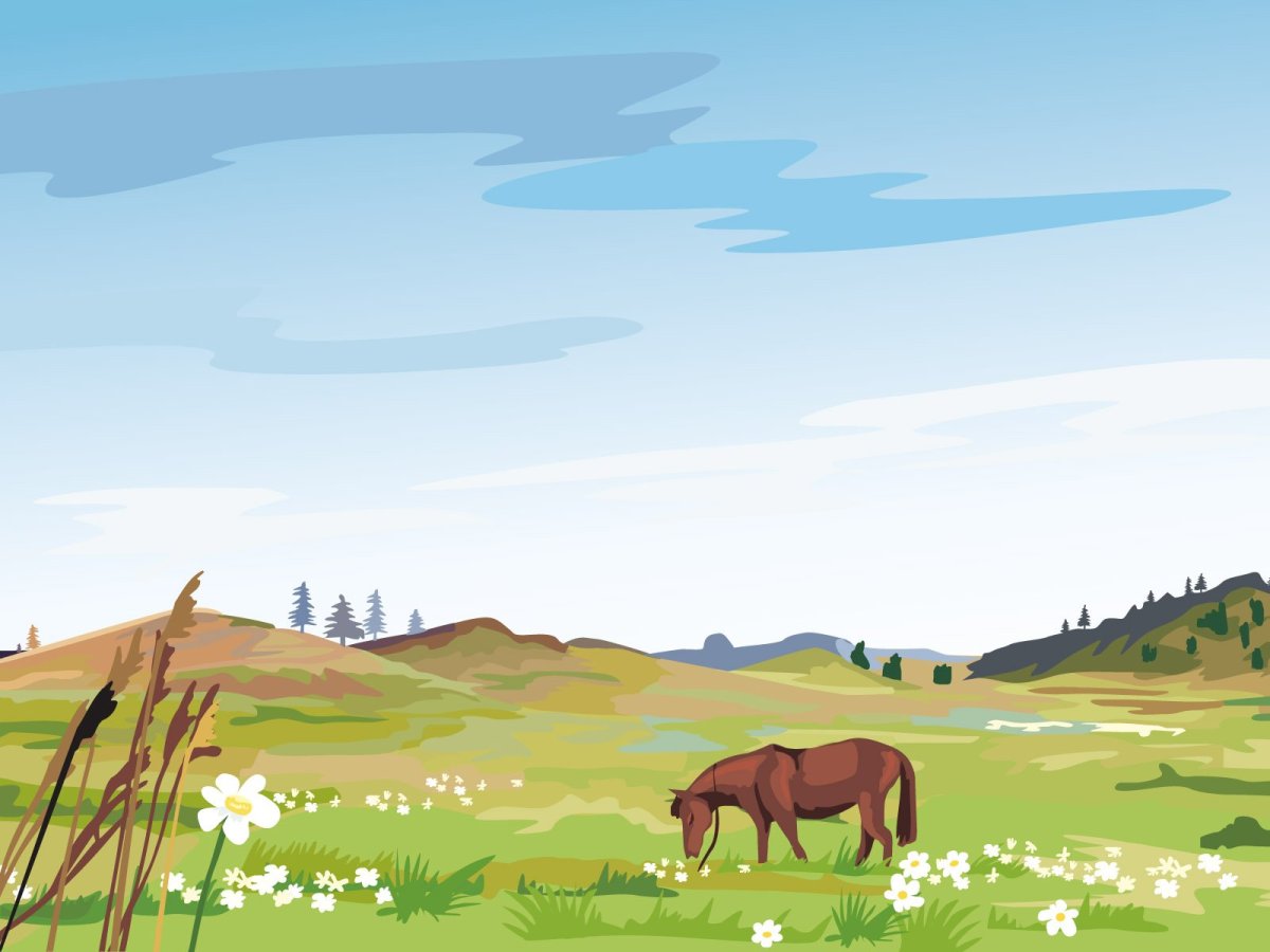 Река мультяшка