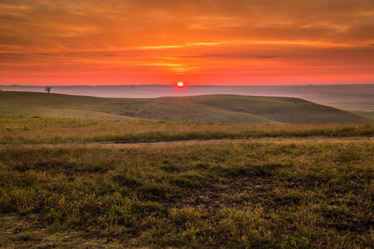 Трава и небо