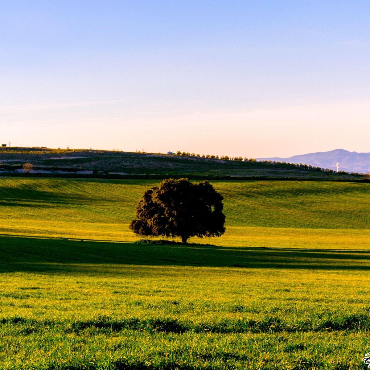 Равнина, Холмистая равнина, плоскогорье