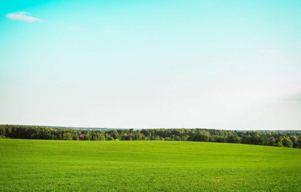 Долины новой Зеландии