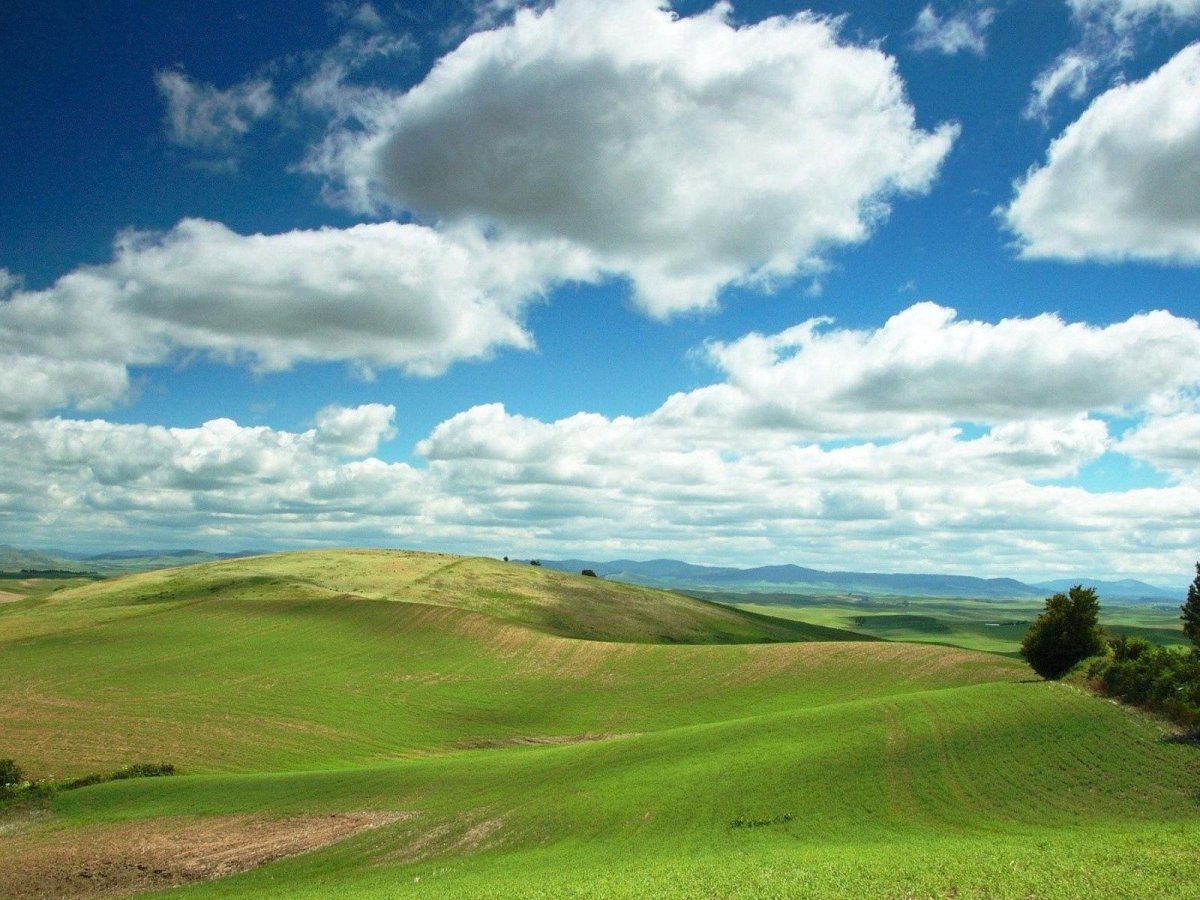 Хайленд и Лоуленд Шотландии