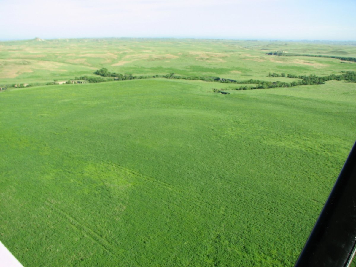 Холмистая равнина равнина