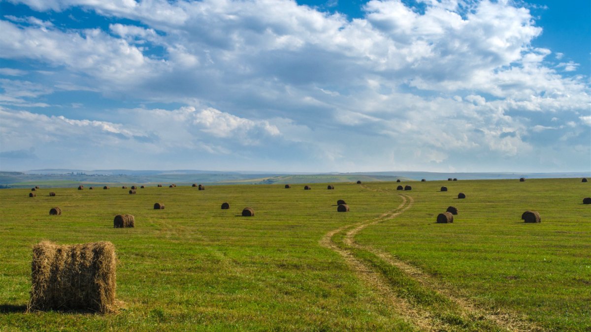 Поля .Долины