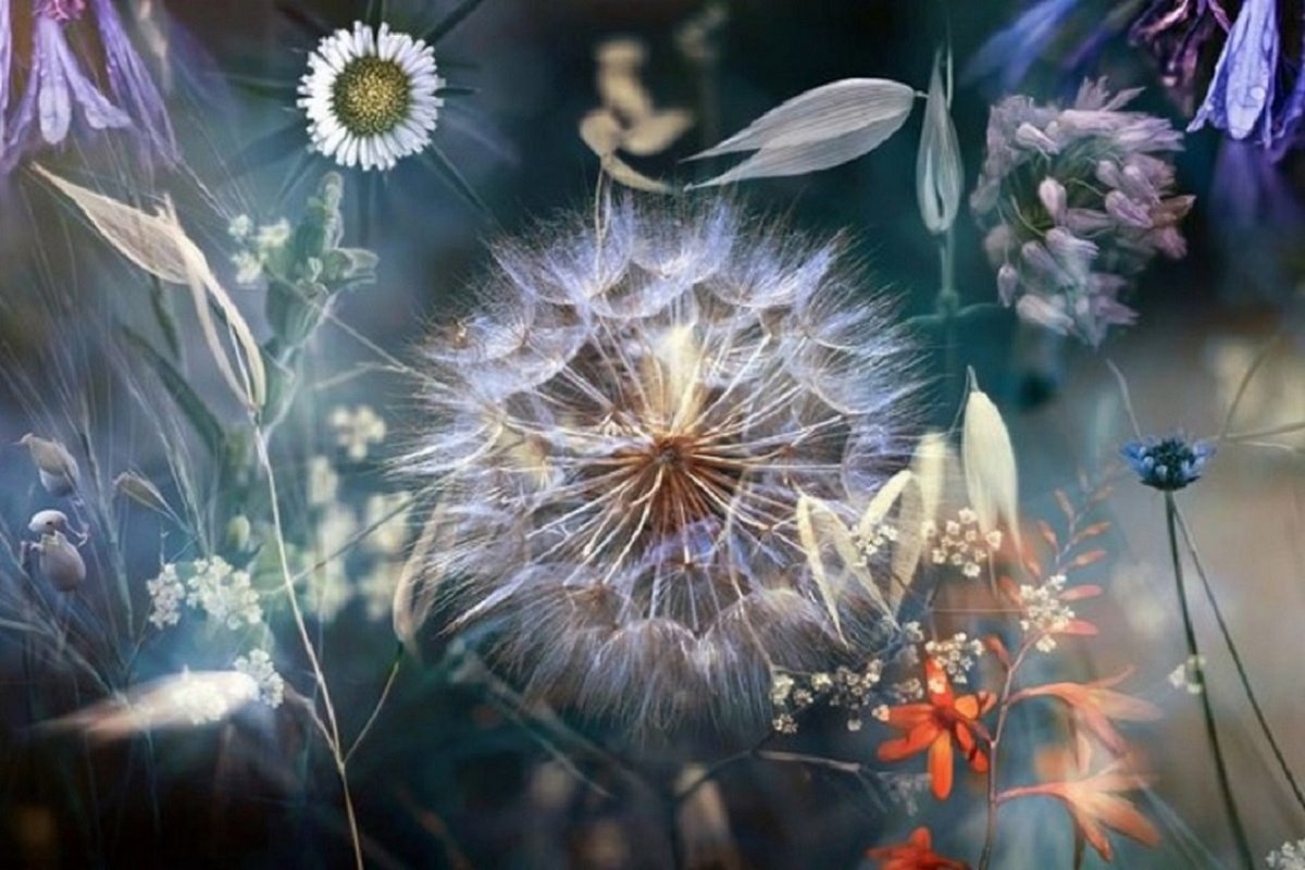 Добрые позитивные мысли