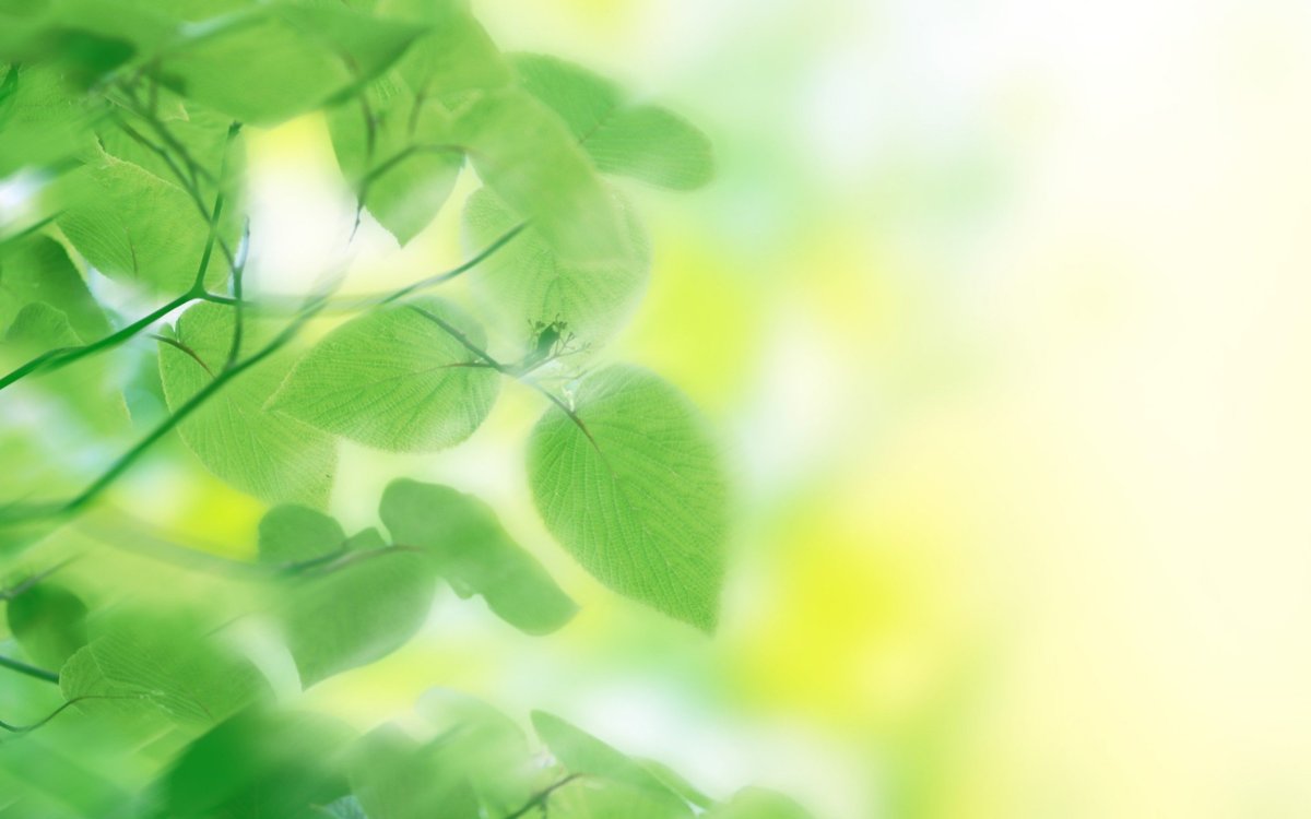 Счастье солнце