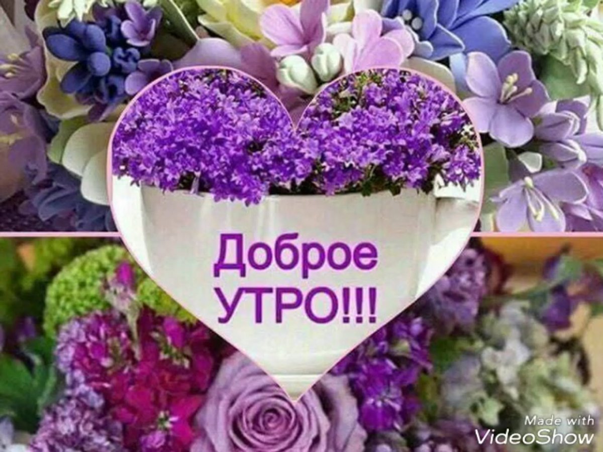 Доброе утро сестричка