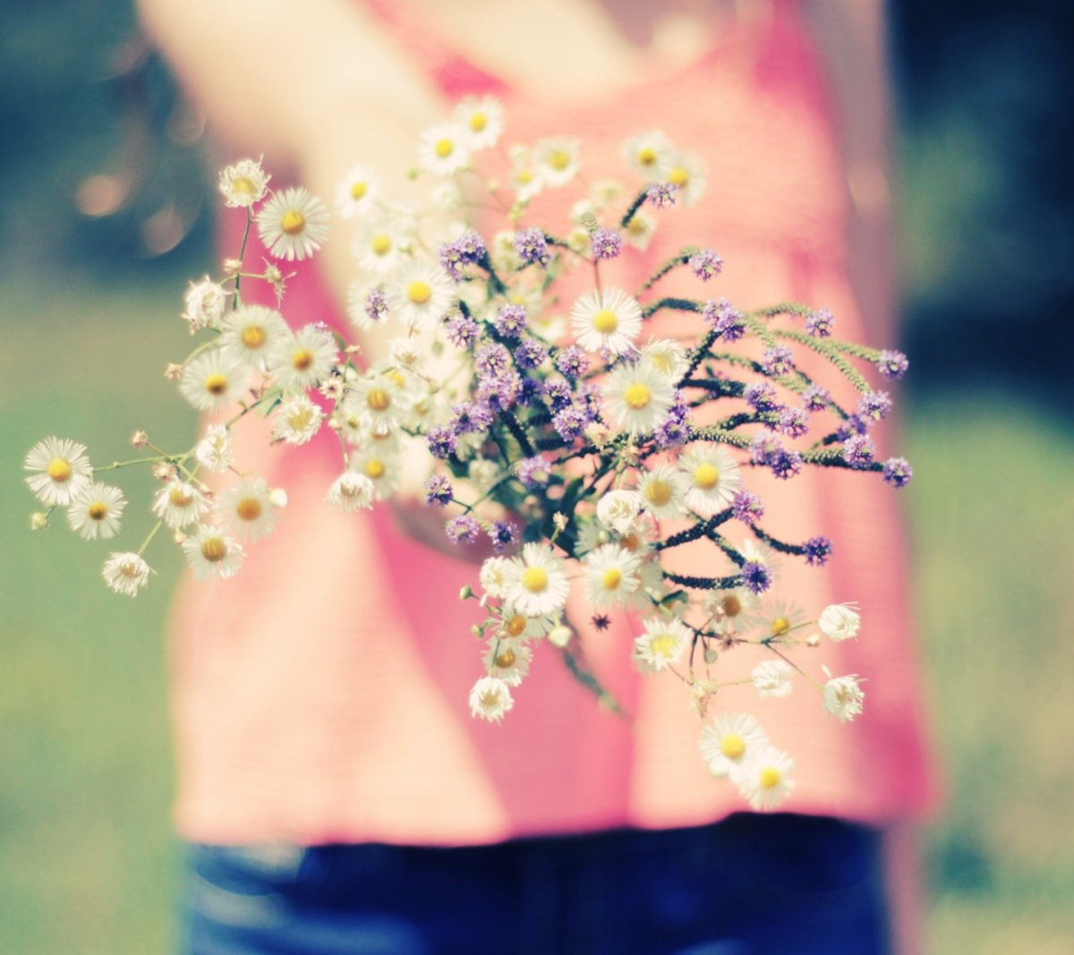 Яркие нежные цветы