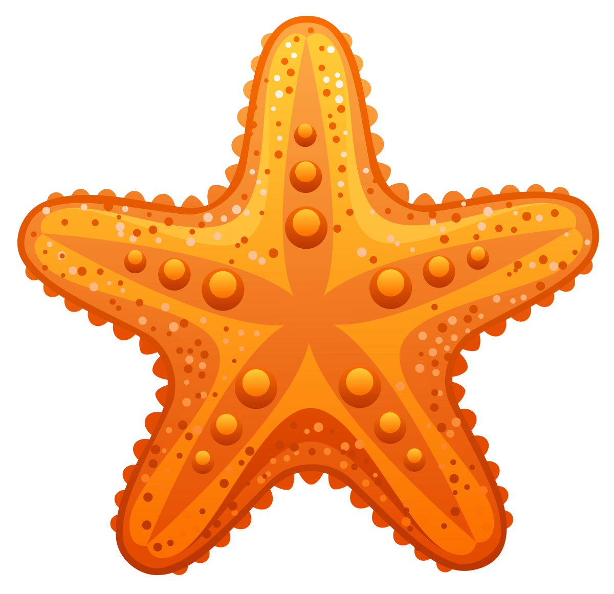 Морская звезда