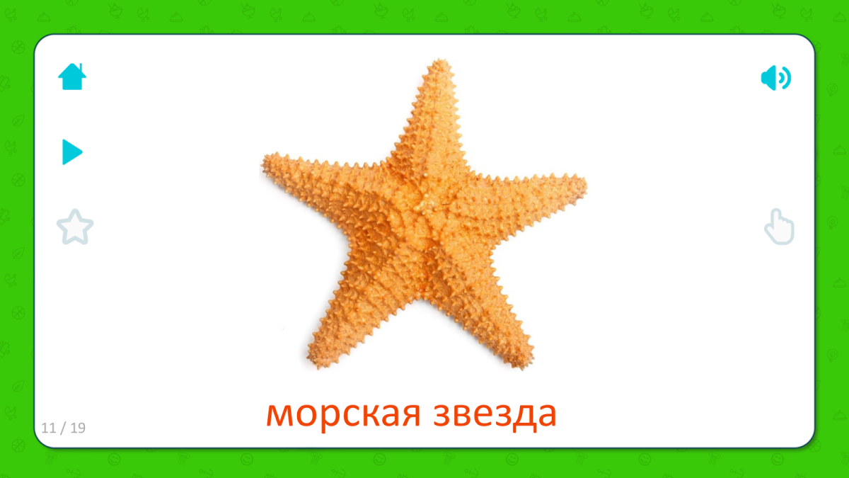 Карточка морская звезда