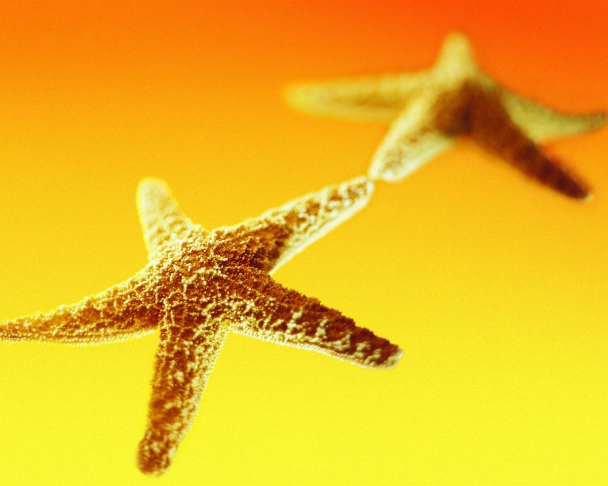 Путешествие к звездам