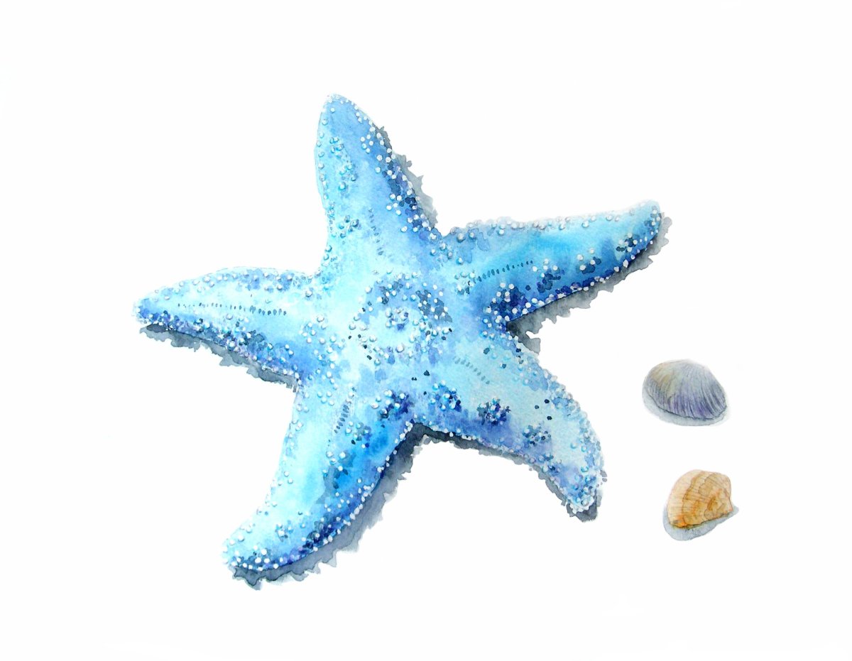 Аппликация морская звезда