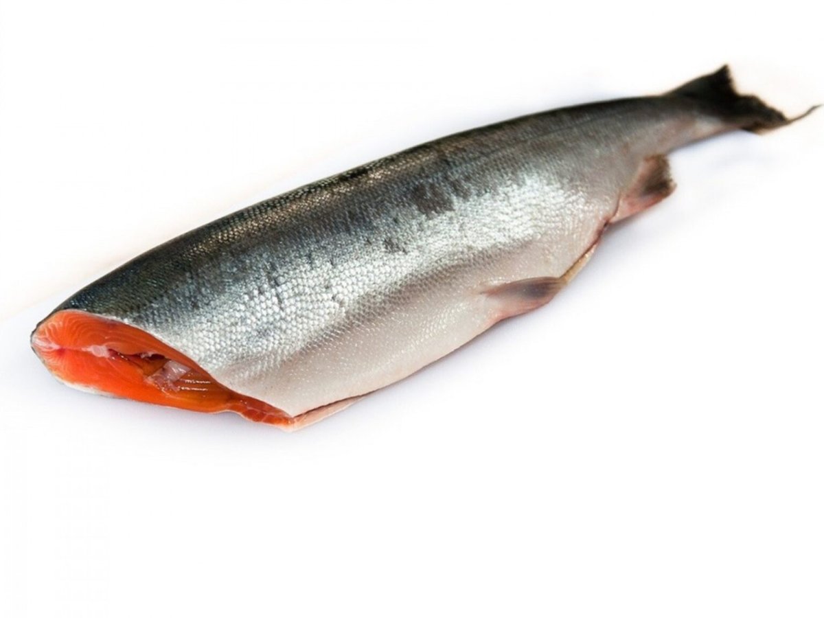 Нерка потрошеная без головы