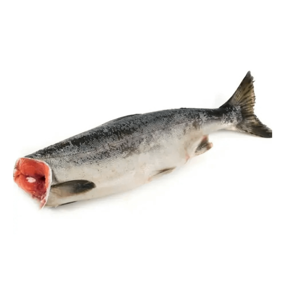 Горбуша ПБГ свежемороженая