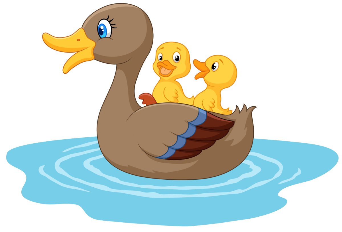 Утка птичий двор