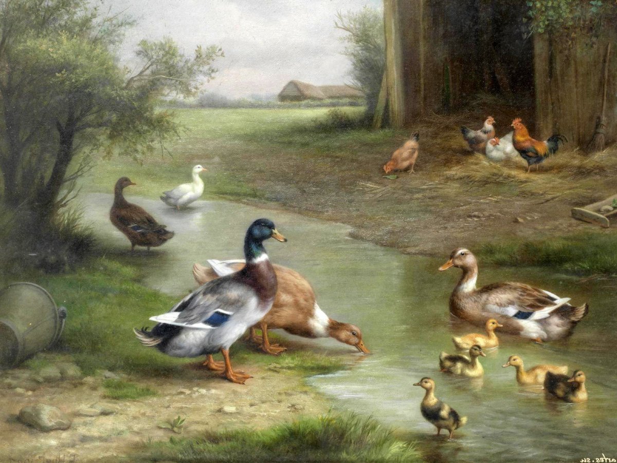 Эдгар Хант птичий двор