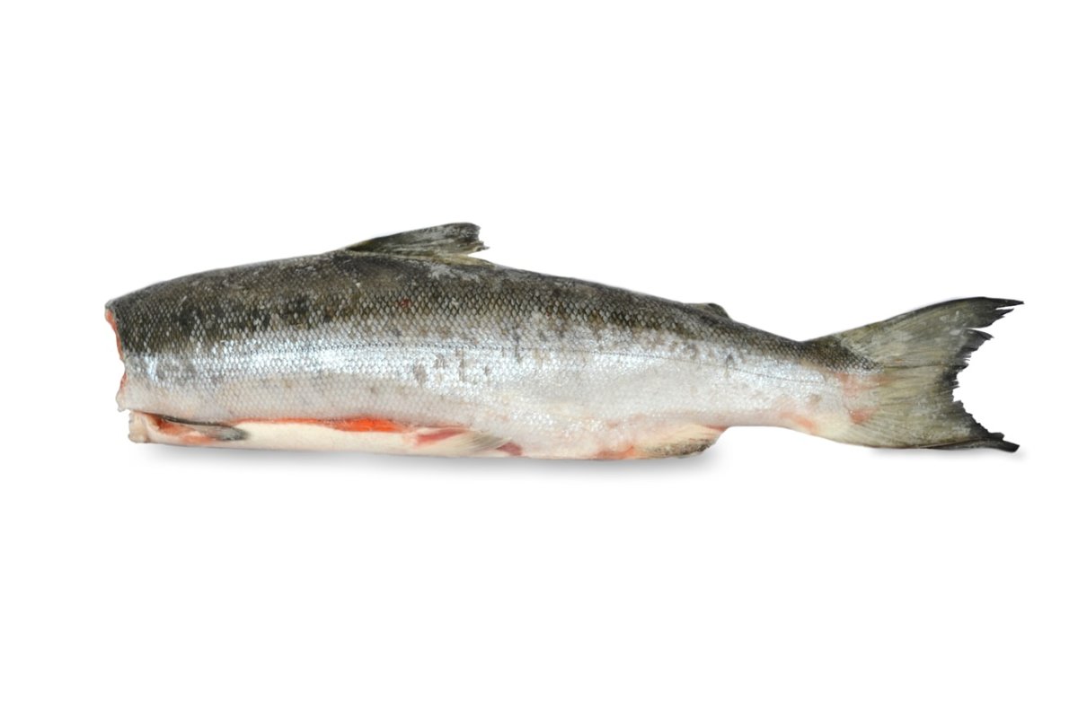 Нерка рыба свежемороженая