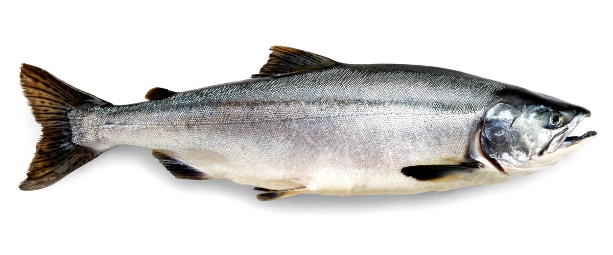 Горбуша ПСГ свежемороженая