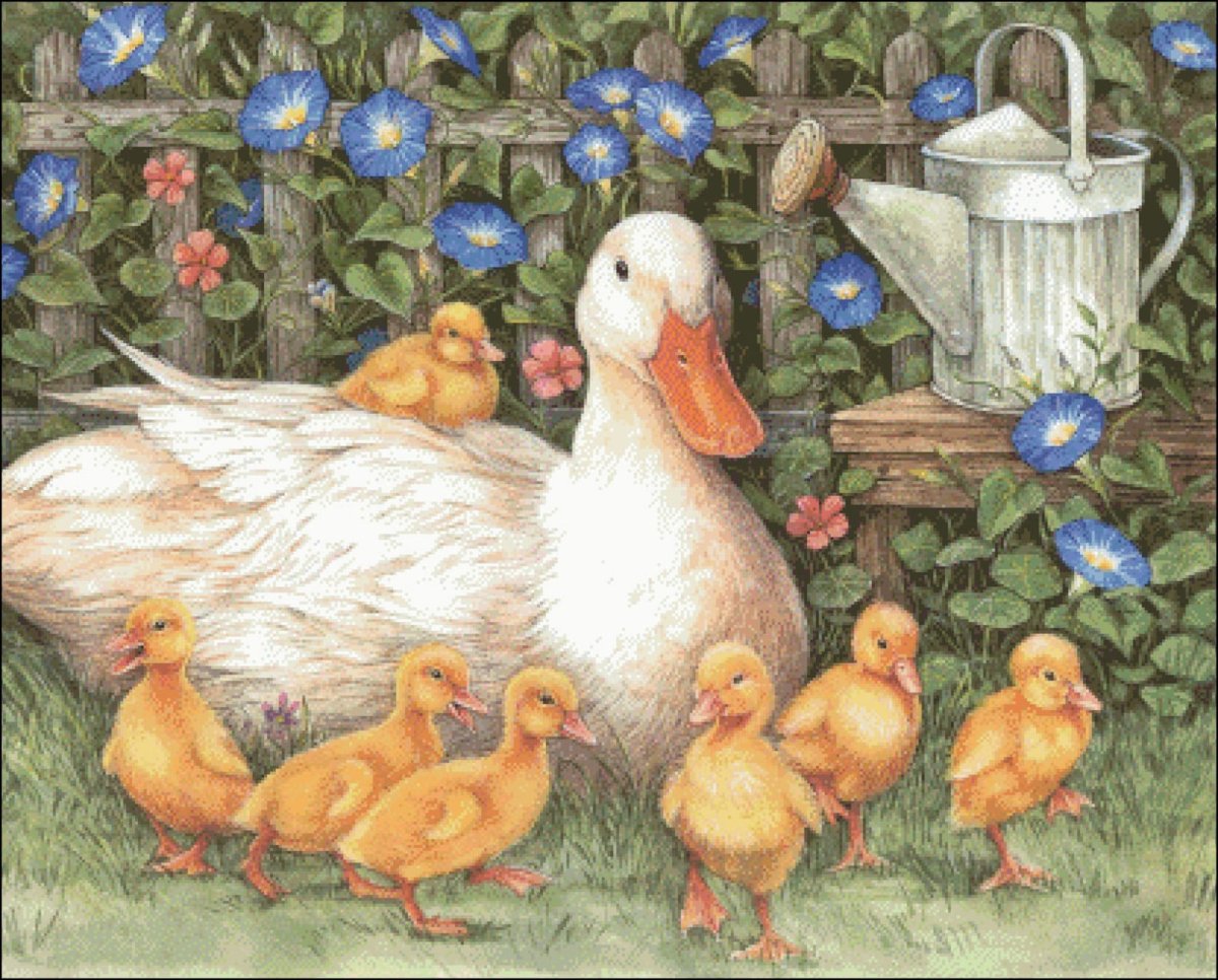 Уточка с утятами рисунок