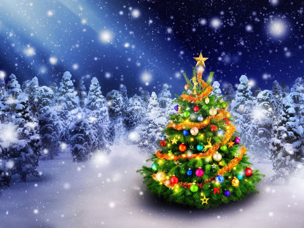 Рисование Новогодняя елка