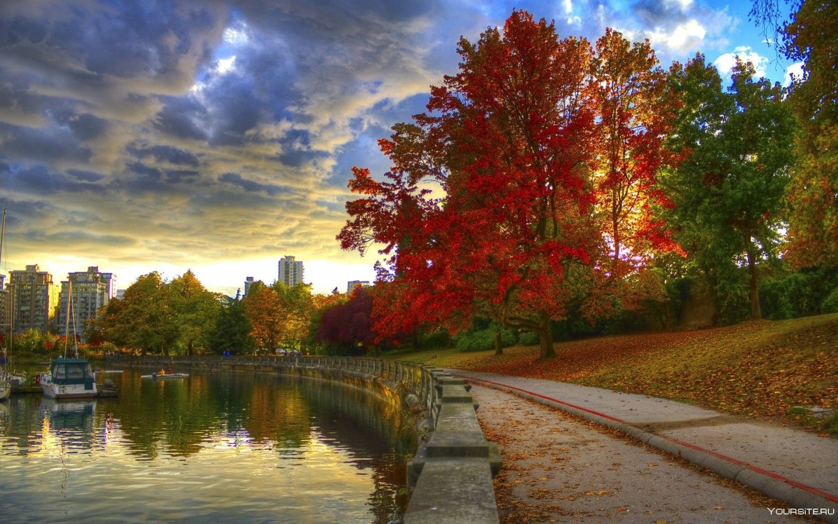 Канада кленовый парк