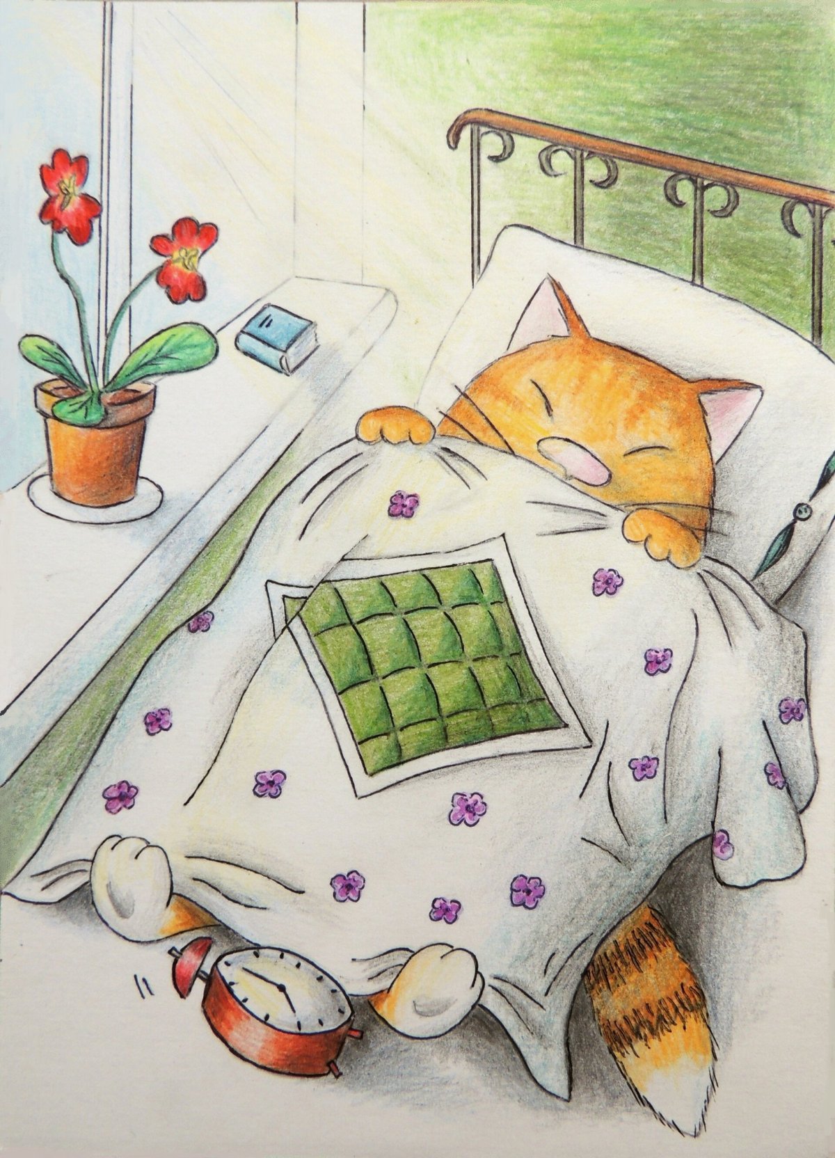 Милые утренние иллюстрации