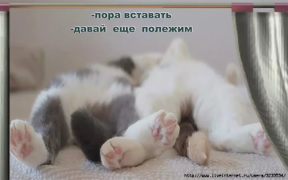 Пора вставать