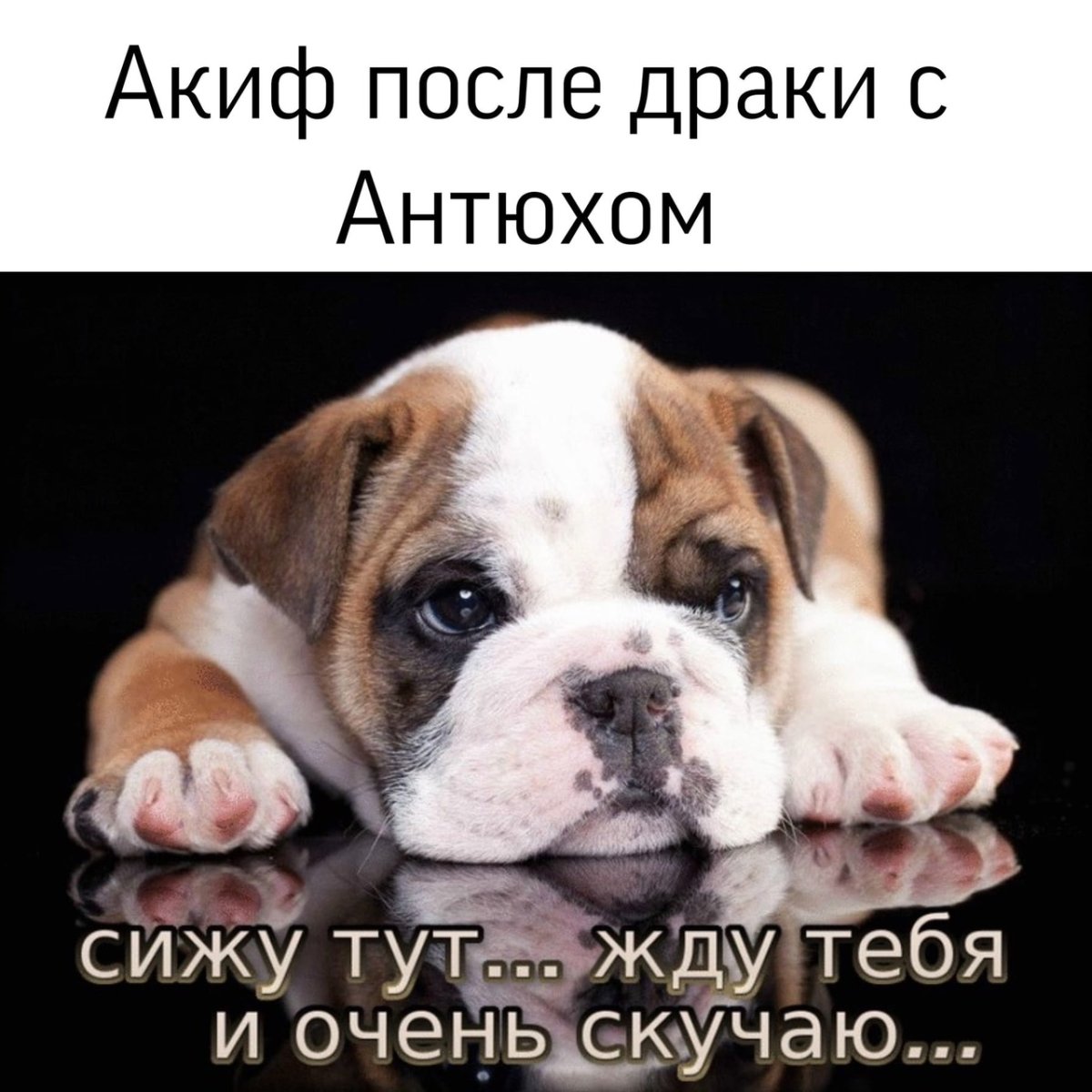Аниме поцелуй под дождем