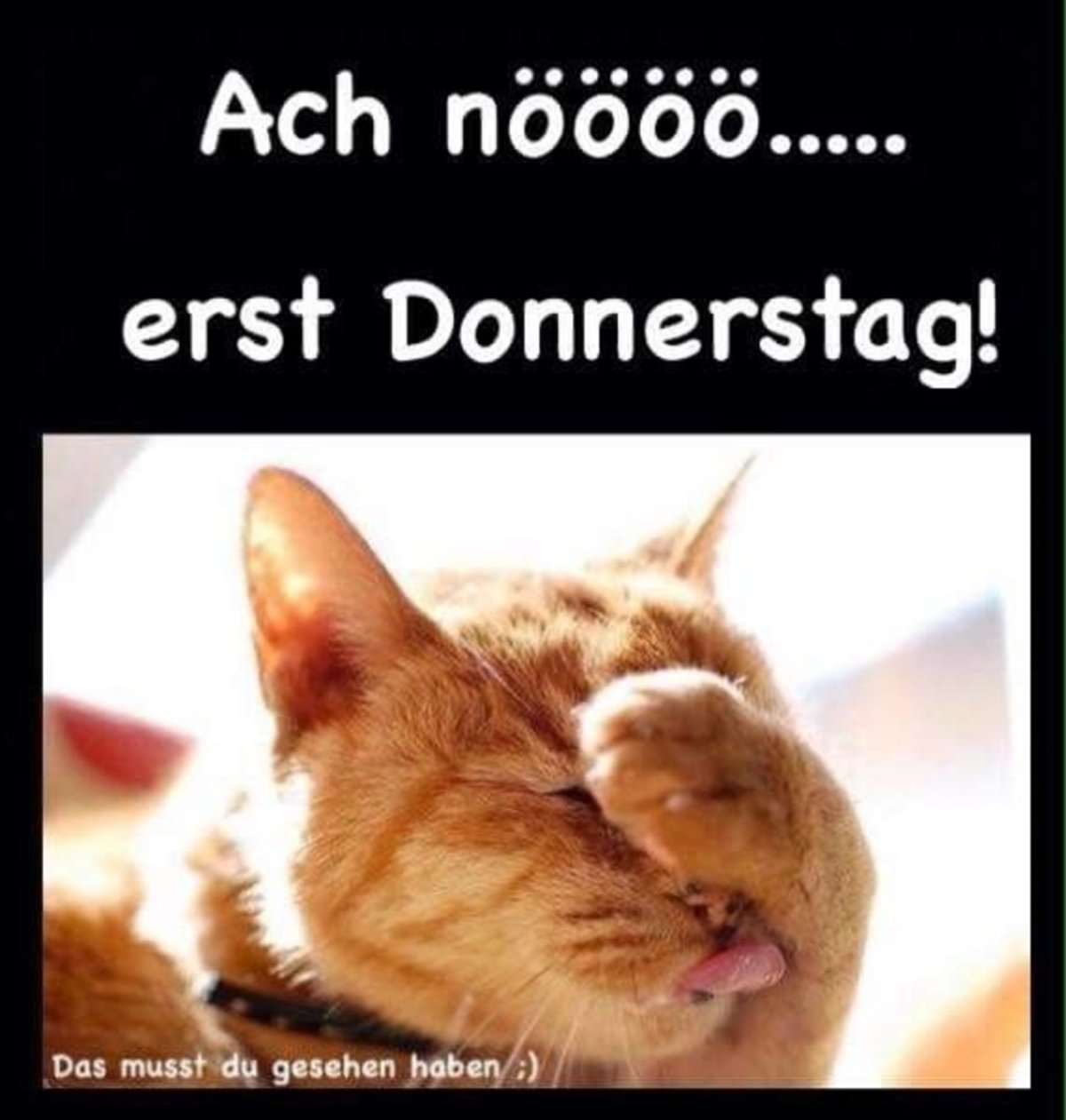 Доброе утро это когда