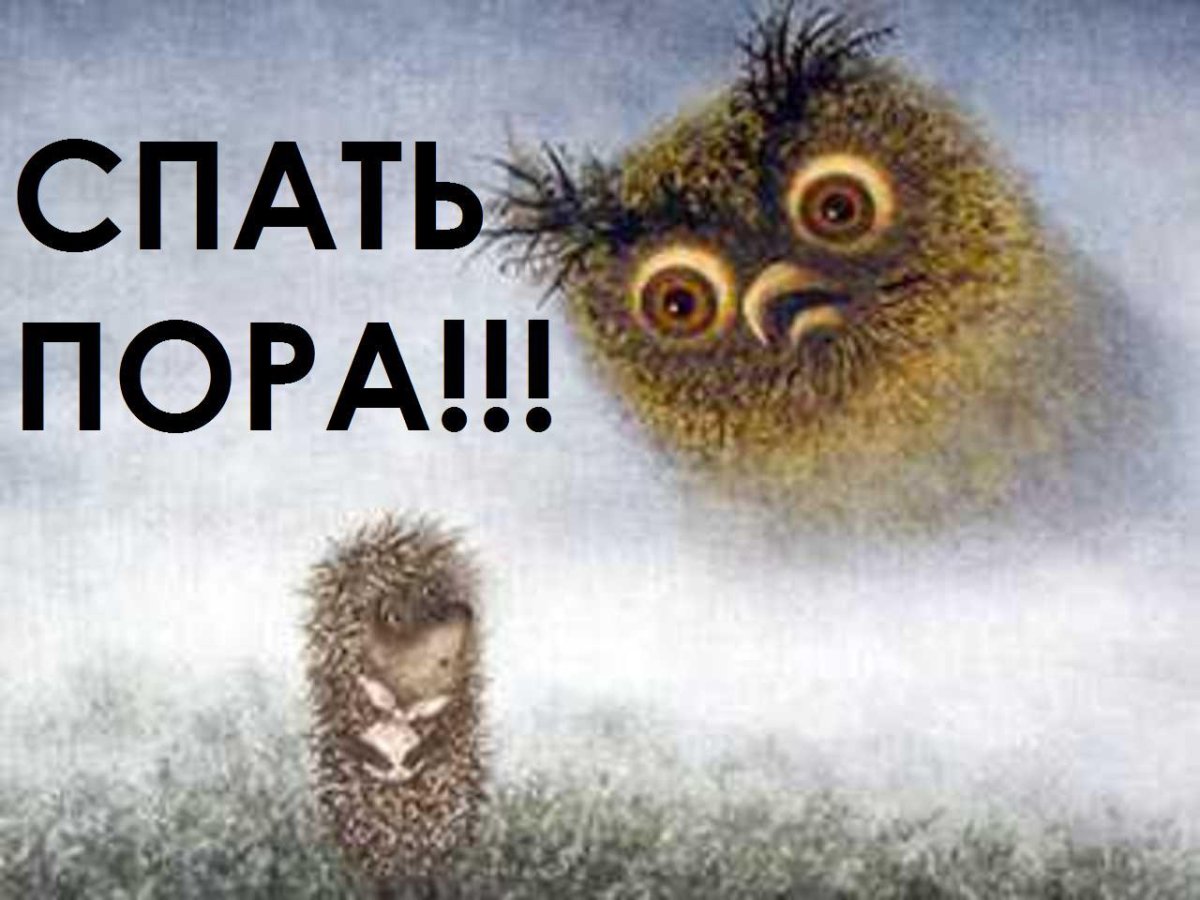 Спать пора спокойной ночи