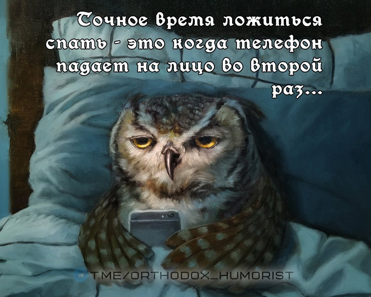 Спящий совёнок ВРТ